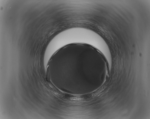 X0000085060219200703191333