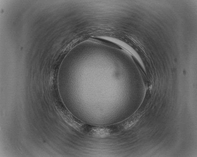 X0000085060221200703191333