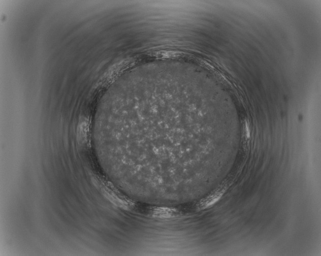 X0000085060222200703191333