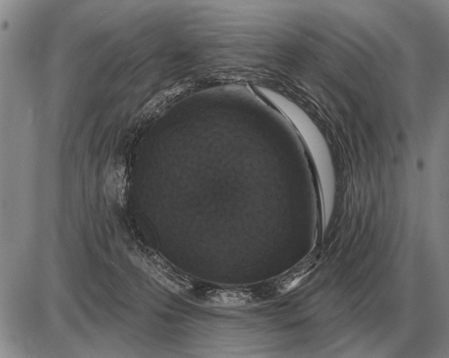 X0000085060223200703191333