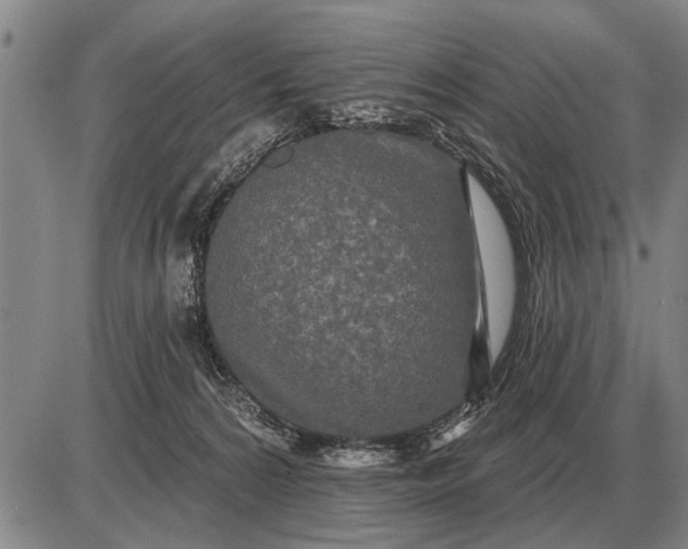 X0000085060224200703191333