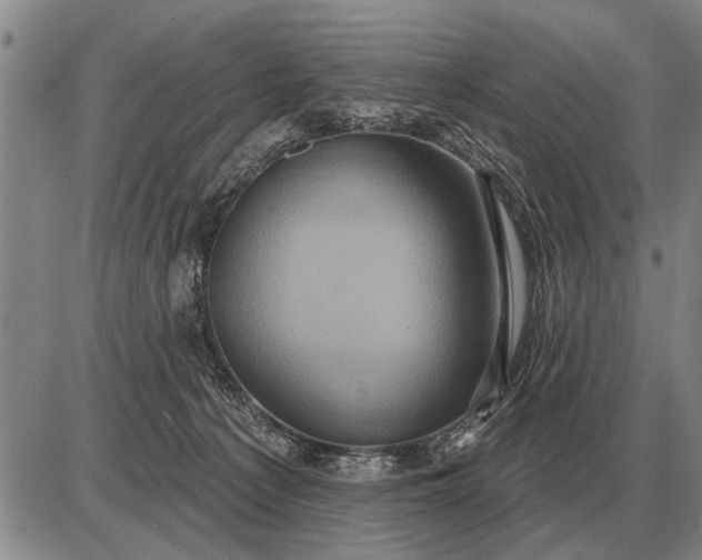 X0000085060225200703191333