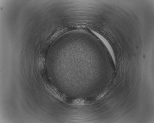 X0000085060227200703191333