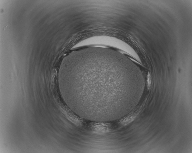 X0000085060229200703191333