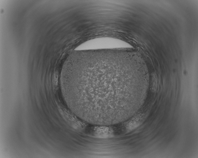 X0000085060230200703191333