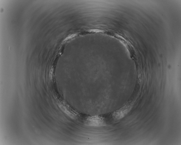 X0000085060231200703191333