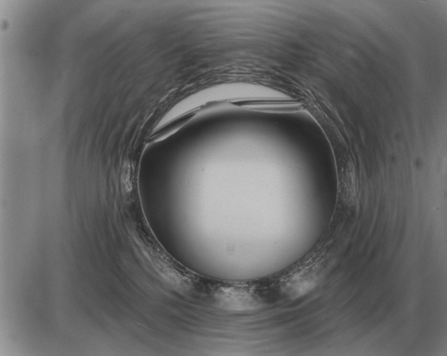 X0000085060232200703191333