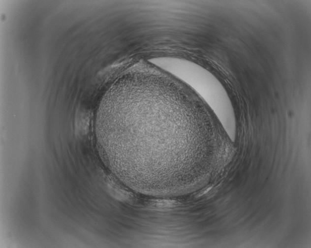 X0000085060233200703191333