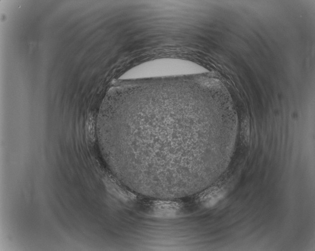 X0000085060234200703191333