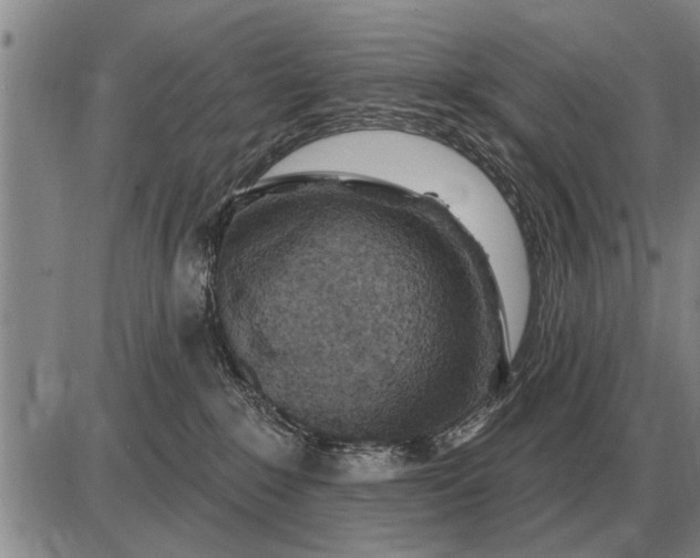 X0000085060235200703191333