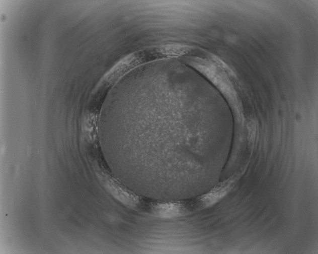 X0000085060237200703191333