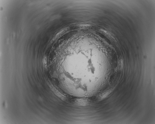 X0000085060238200703191333