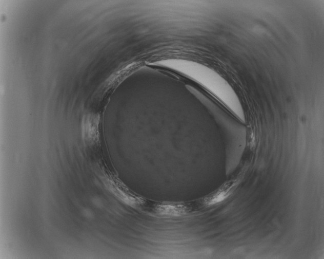 X0000085060239200703191333