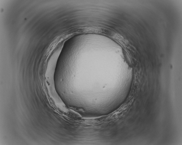 X0000085060241200703191332