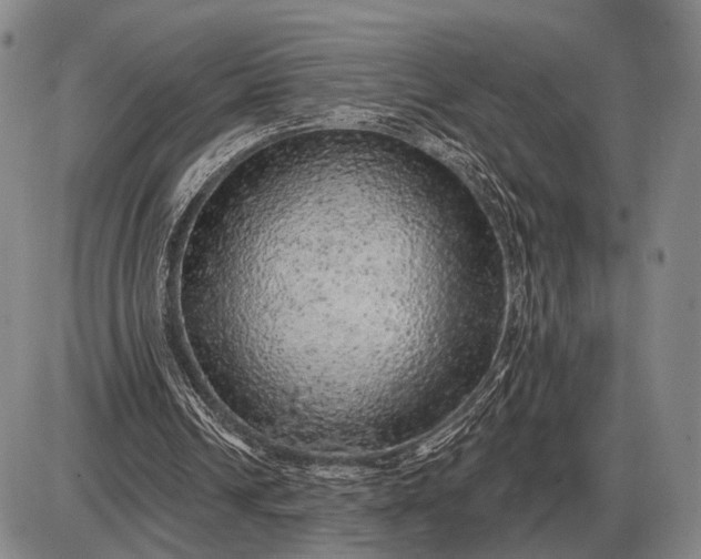 X0000085060242200703191332