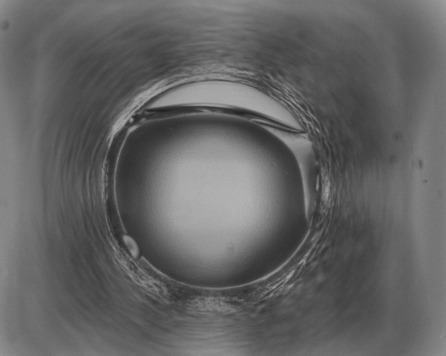 X0000085060244200703191332