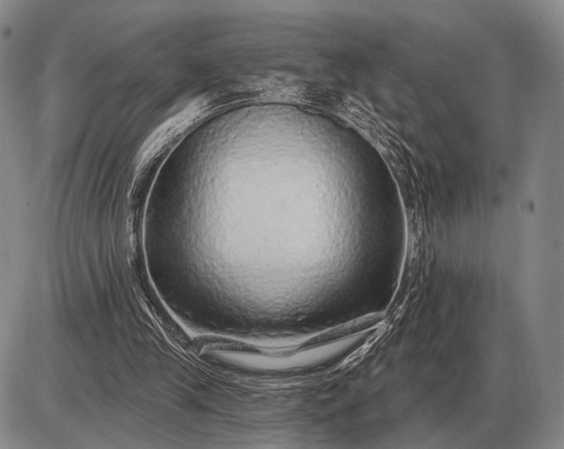 X0000085060245200703191332