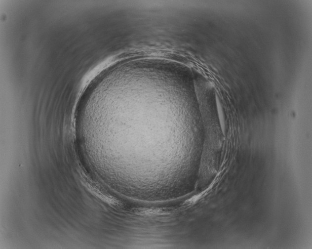 X0000085060246200703191332