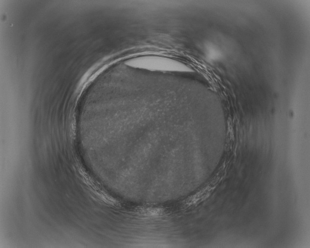 X0000085060247200703191332