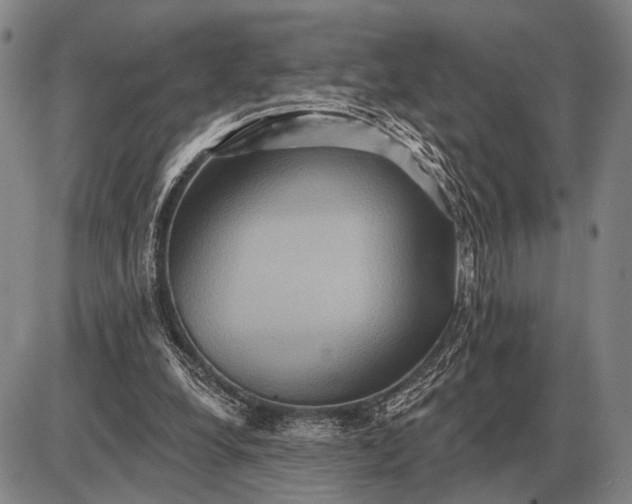 X0000085060248200703191332