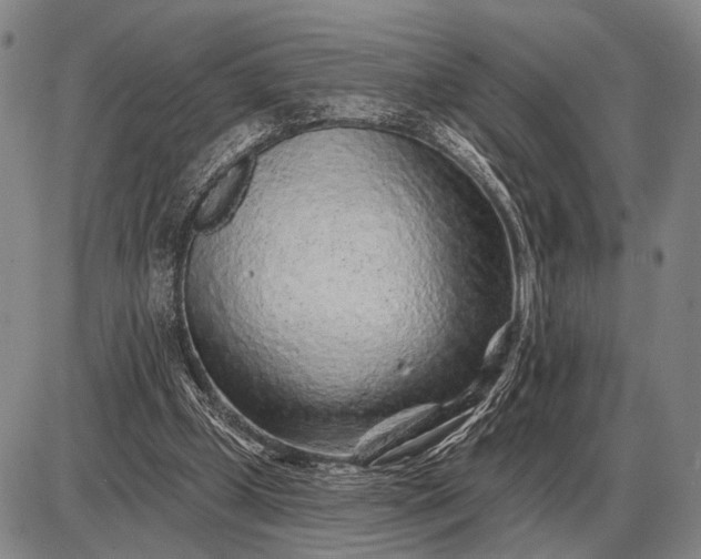 X0000085060249200703191332