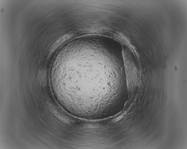 X0000085060250200703191332