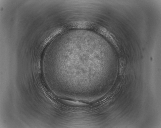 X0000085060251200703191332