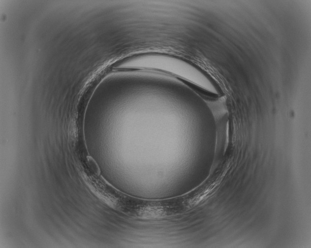 X0000085060252200703191332