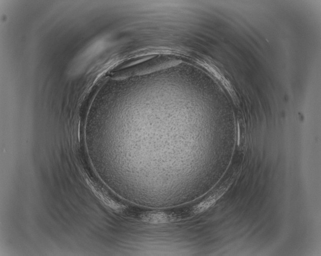 X0000085060253200703191332