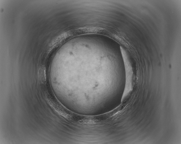 X0000085060254200703191332