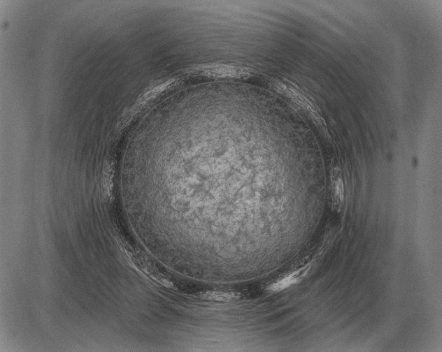 X0000085060255200703191332