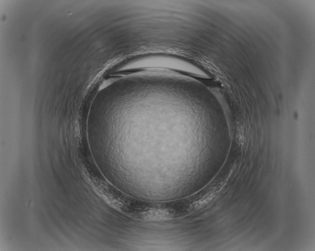 X0000085060256200703191332