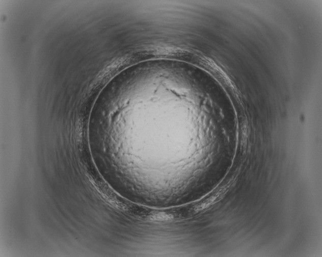 X0000085060257200703191332