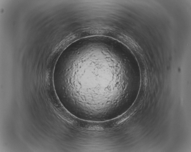 X0000085060258200703191332