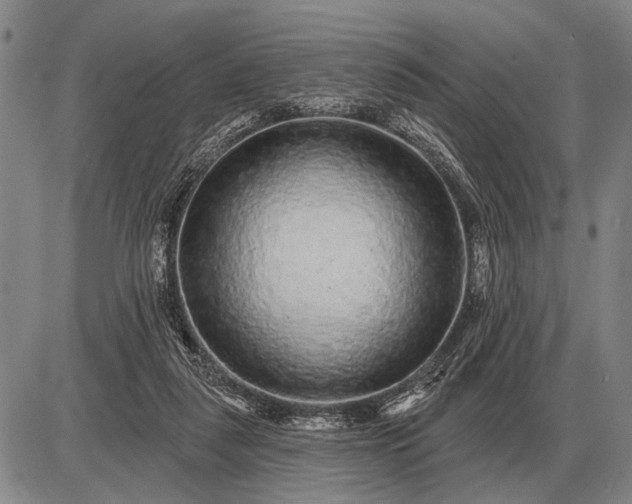 X0000085060259200703191332