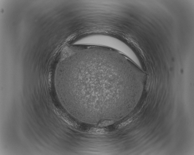 X0000085060260200703191332