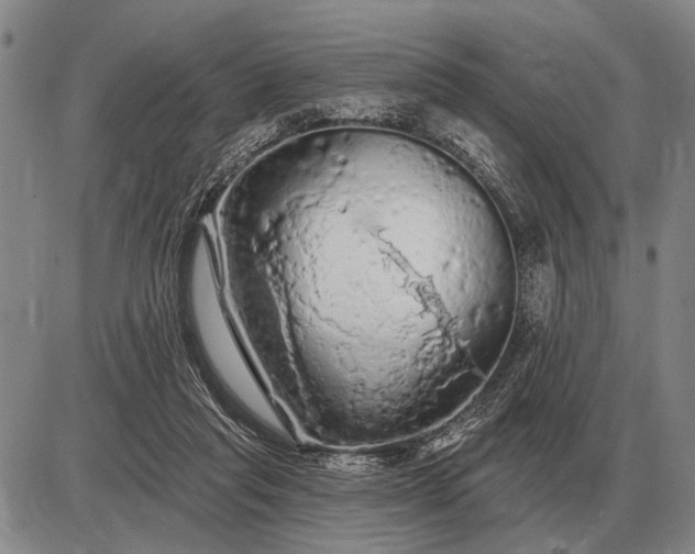 X0000085060261200703191332