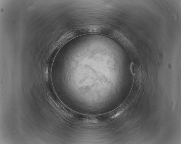 X0000085060262200703191332