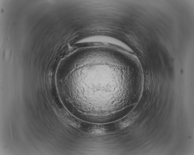 X0000085060263200703191332