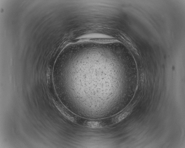 X0000085060265200703191332