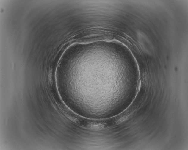 X0000085060267200703191333