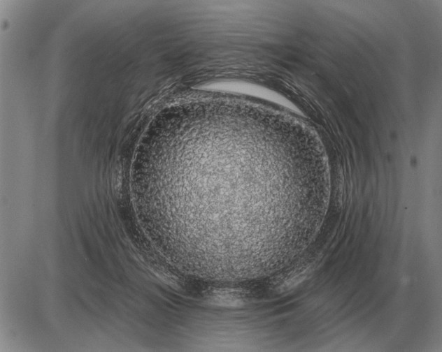 X0000085060268200703191333