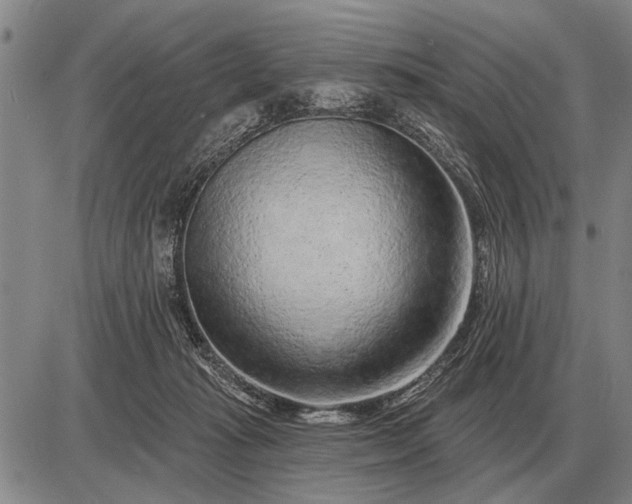 X0000085060269200703191333