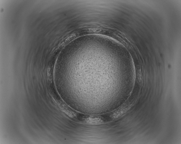 X0000085060270200703191333