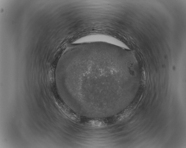 X0000085060272200703191333