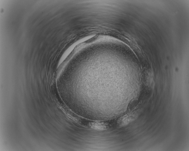 X0000085060273200703191333