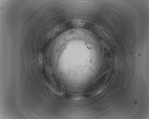 X0000085060274200703191333