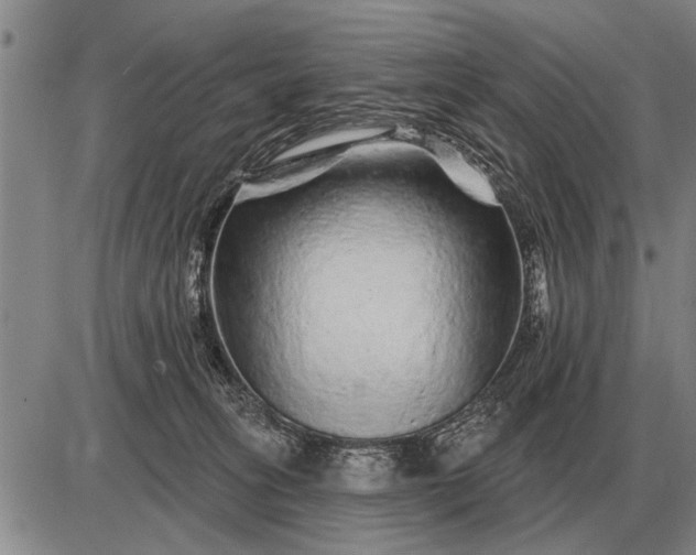 X0000085060275200703191333