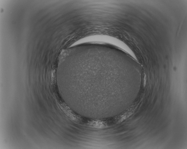 X0000085060276200703191333