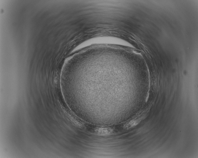 X0000085060277200703191333